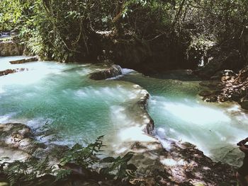 View of waterfall in forest