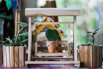 Close-up of potted plant on table at yard