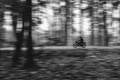 Blurred motion of man riding motorcycle on road in forest