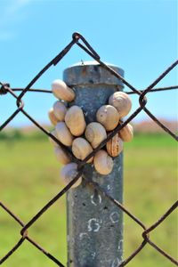 Close-up of rusty metal fence on field against sky