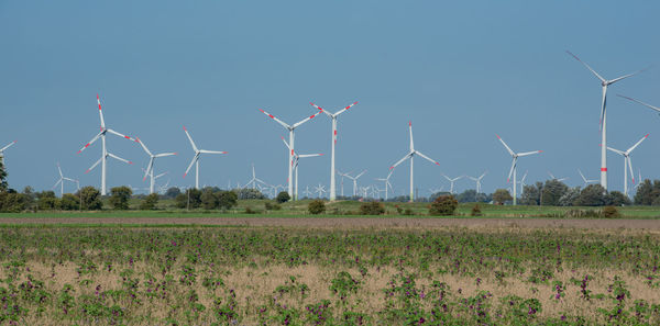 Windmills on field against sky