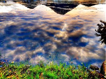 Reflection of trees in water