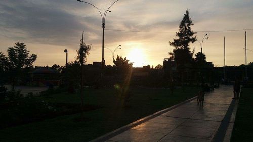 Panoramic view of trees against sky during sunset