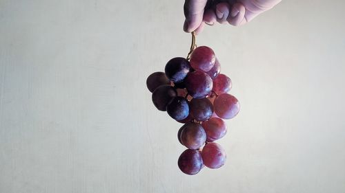 Close-up of hand holding grapes