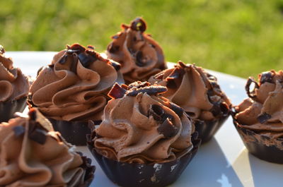 Close-up of chocolate cupcakes in plate