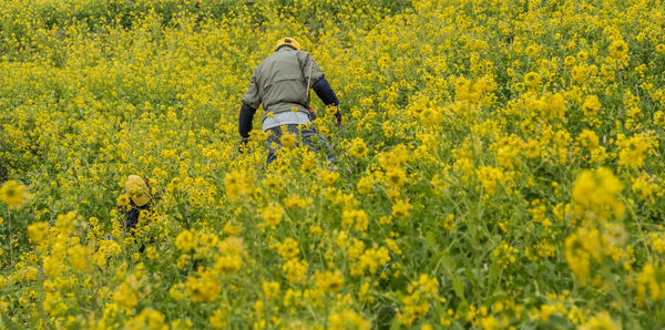 Rear view of person standing in field