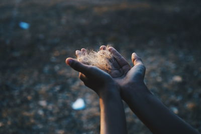 Close-up of human hand holding land