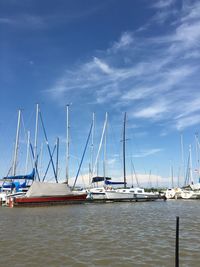 Sailboats moored on harbor against sky