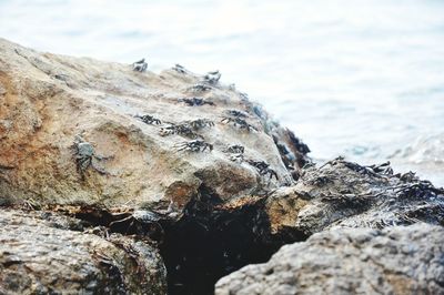 Low angle view of rocks against sky