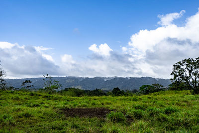 Scenic view of landscape against sky