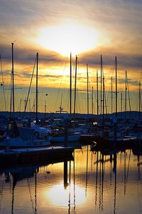 Sailboats in harbor at sunset