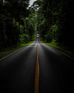 Empty road in forest