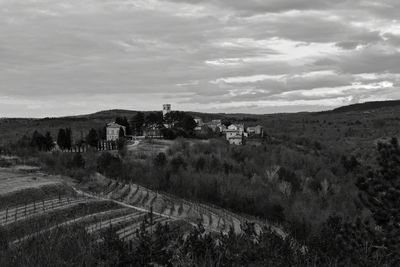 Scenic view of agricultural field against sky