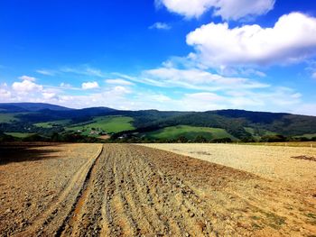 Scenic view of field against sky