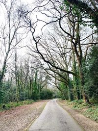 Road amidst trees in forest