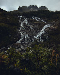 nature