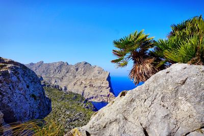 Panoramic view of rocks and trees against blue sky