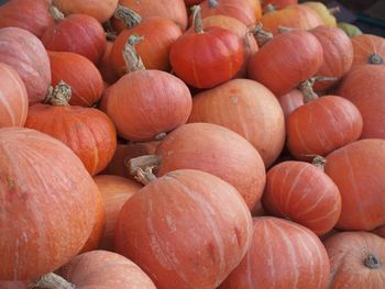 Full frame shot of pumpkins for sale at market