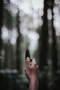 Low section of woman against blurred background