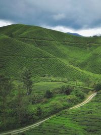 Scenic view of green landscape against sky