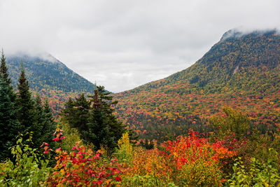 Scenic view of mountain against cloudy sky