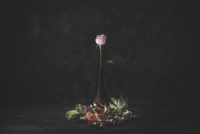 Close-up of rose bouquet against black background