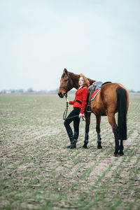 Horse standing in a field