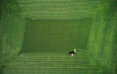 Small plough making rectangular space on wheat on green field