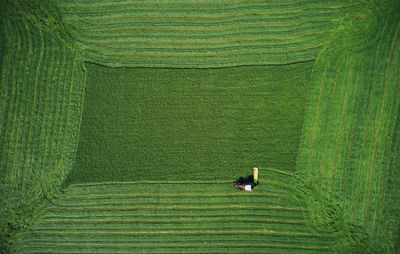 Scenic view of agricultural field