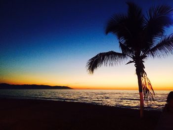 Silhouette palm tree on beach against clear sky