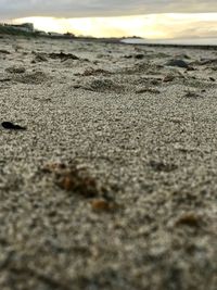 Surface level of sand at beach against sky