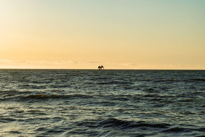sea
