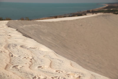 Sand dune on beach