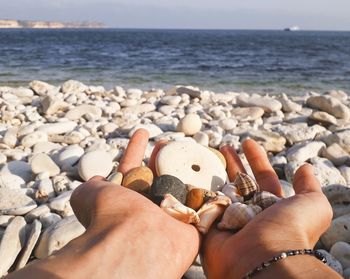 Cropped hands of person holding pebbles and seashells at beach