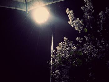 Low angle view of illuminated street light