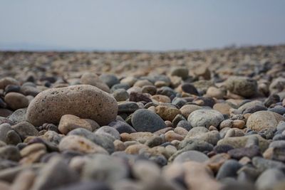 Surface level of pebble beach against clear sky