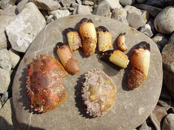 Close-up of bread