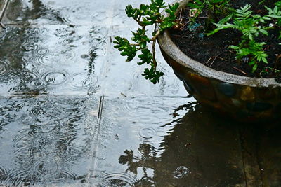 High angle view of raindrops on lake