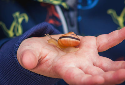 Close-up of hand holding a slug