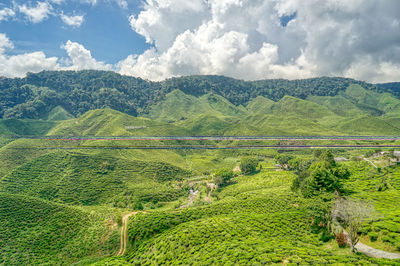 Scenic view of field against sky