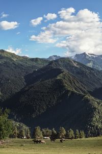 Scenic view of landscape against sky