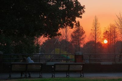 Rear view of man sitting on bench in park during sunset