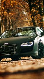 Close-up of car on tree