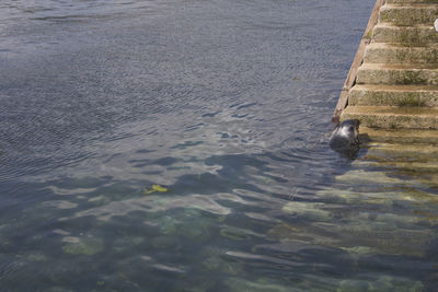 High angle view of sea