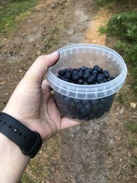 Midsection of person holding strawberry