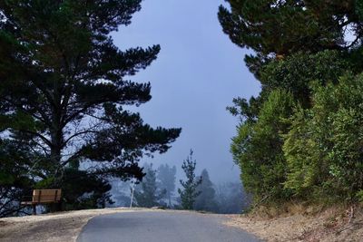 Road amidst trees against clear blue sky