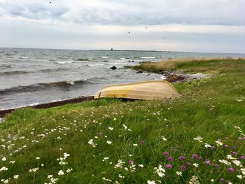 Scenic view of sea against sky