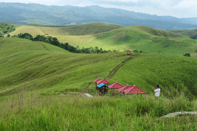 Scenic view of agricultural field