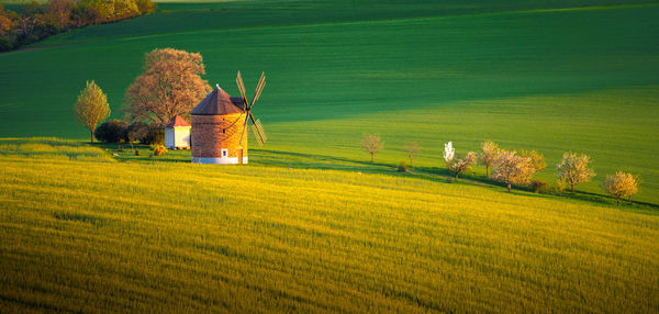 Scenic view of agricultural field