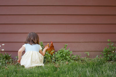 A little girl sits in a garden in summer reaching out to a red chicken